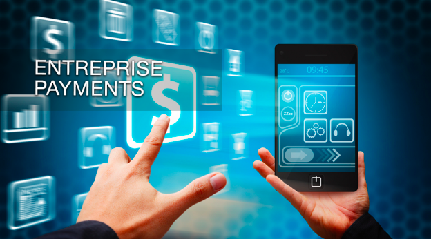 Enterprise payments